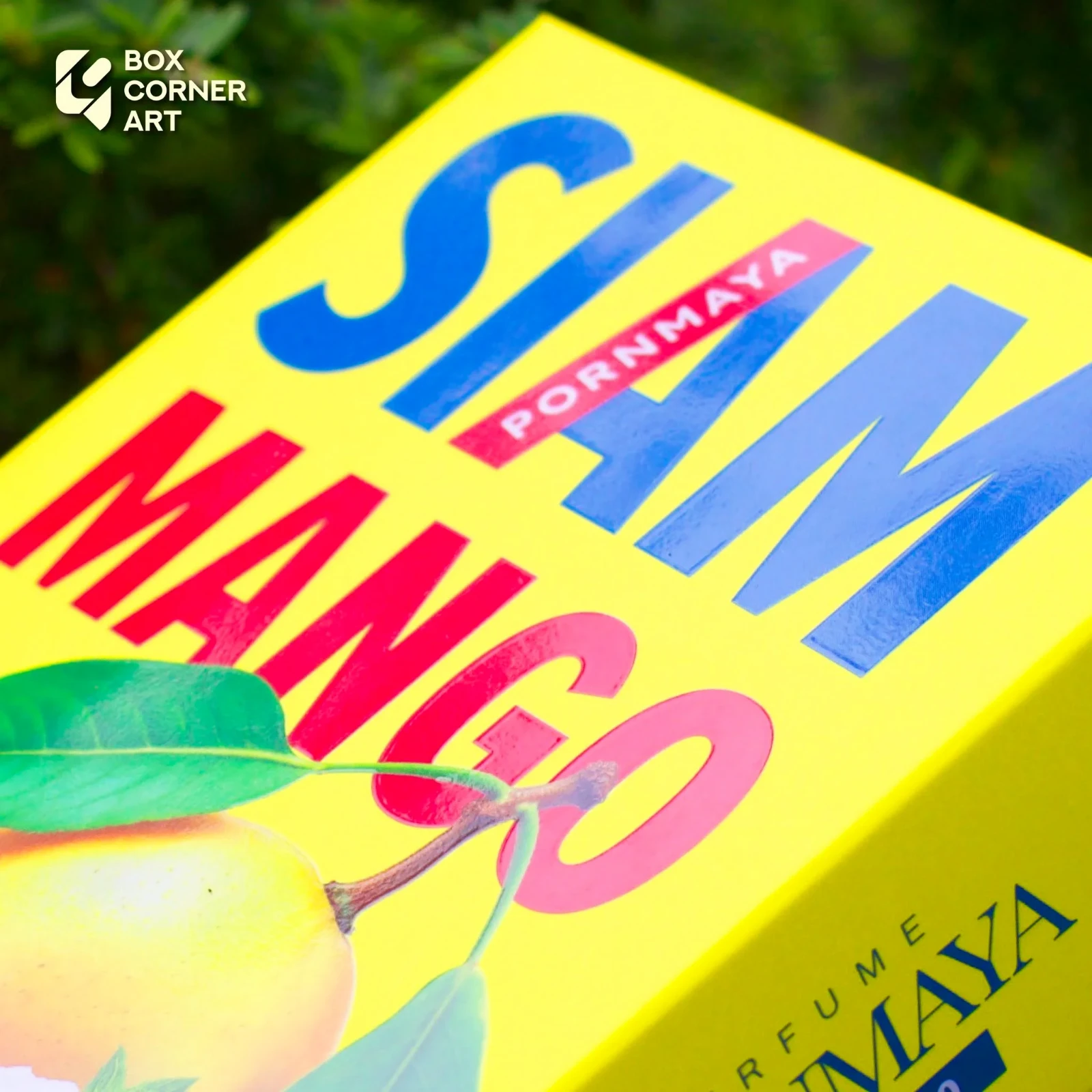 ตัวอย่างการออกแบบกล่องน้ำหอม Pornmaya ด้วยการจับคู่สีเหลือง น้ำเงิน และแดง